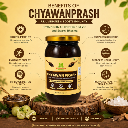 Premium Chyawanprash: 2X Immunity Booster