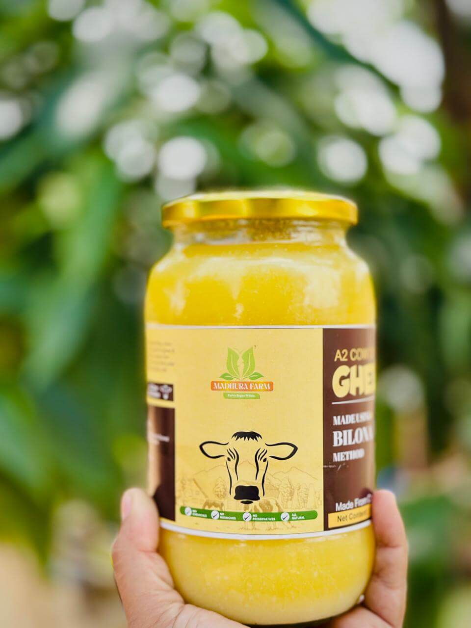 A2 Cow Bilona Ghee combo offer in a jar by Madhurafarm, showcasing traditional purity in a natural setting.